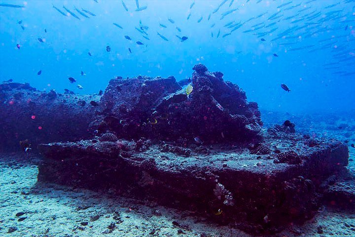 kewalo pipe reef oahu coral reef diving hawaiian diving
