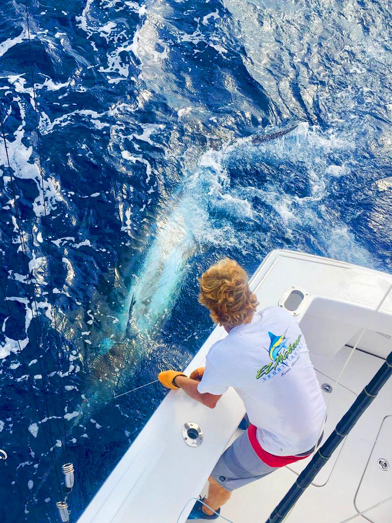 kona coast is the perfect destination to fishing