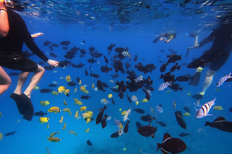 Koolinaoceanadventures Ko Olina Morning Sail And Snorkel Snorkeling Diving With Beautiful Fish