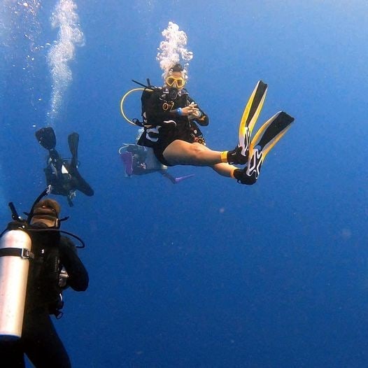 learn all the basic safety guidelines and skills you need to dive under direct supervision introductory diving dive oahu