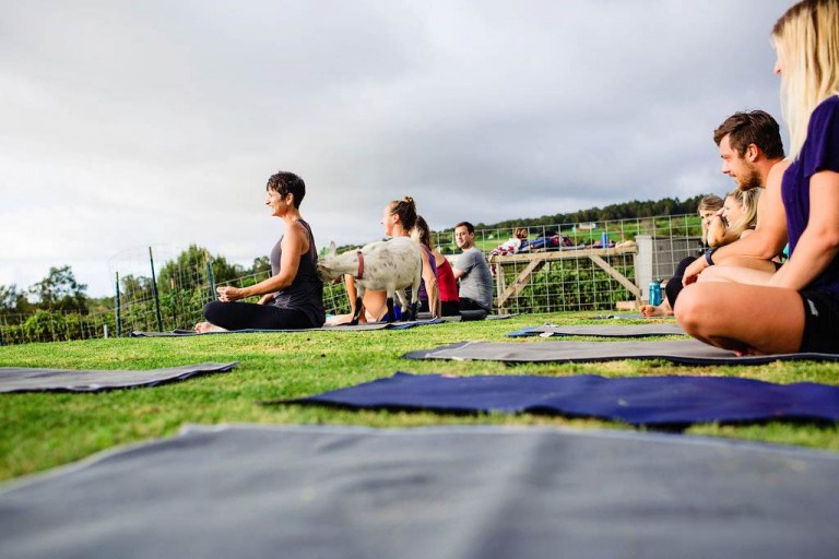 live music added to the soothing atmosphere of goat yoga