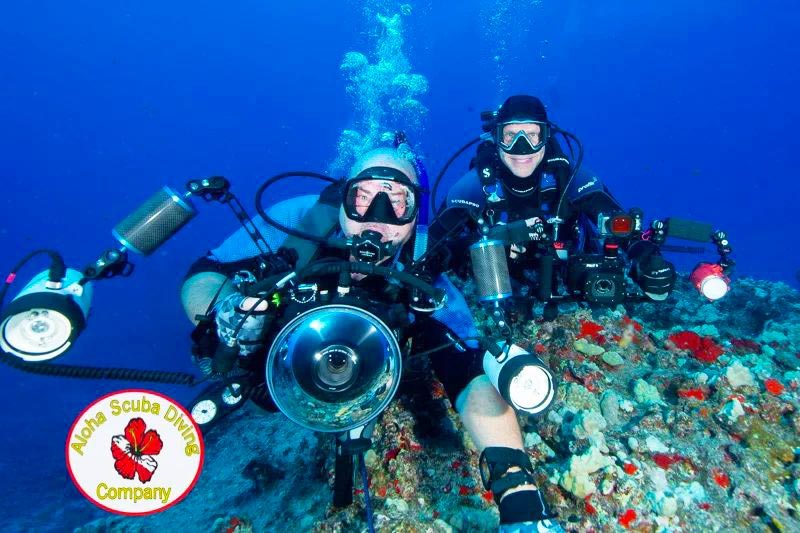 looking for an unforgettable diving experience in hawaii aloha scuba diving co