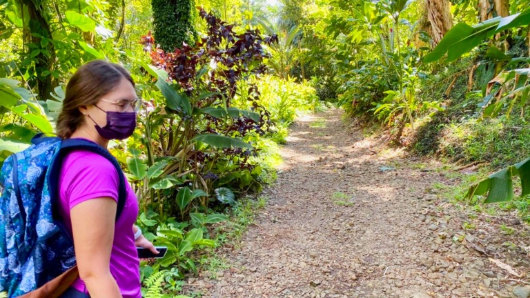 manoa valley tropical gardens oahu