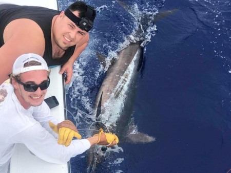 marlin fishing kona big island