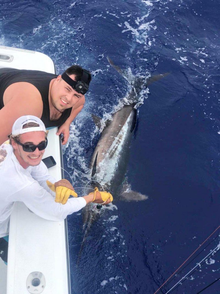 marlin fishing kona big island