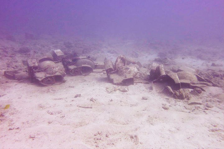 neptunes throne dive site underwater toilets oahu coral reef diving hawaiian diving