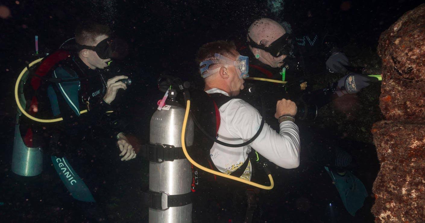 night dives are led by experienced and certified dive guides aloha scuba diving co oahu island