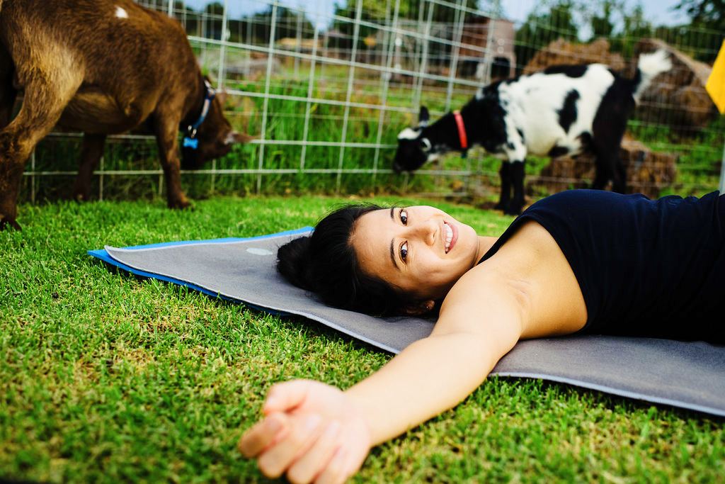 relax with goat yoga maui