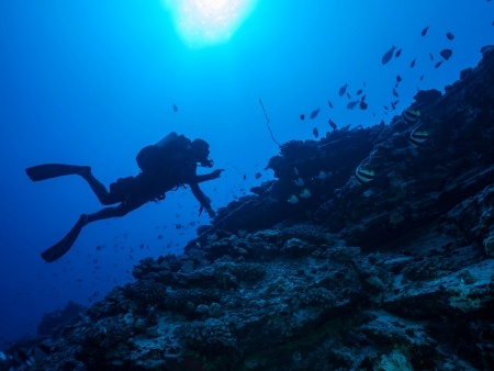 scuba diver diving hawaii
