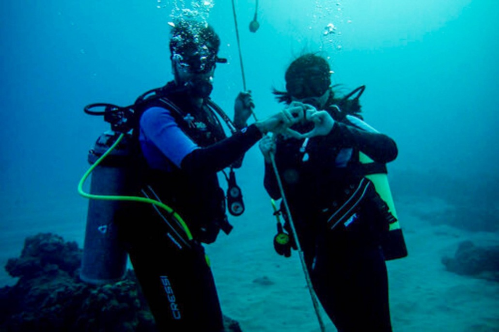 scuba diving in hawaii is a great way to see the vibrant marine life