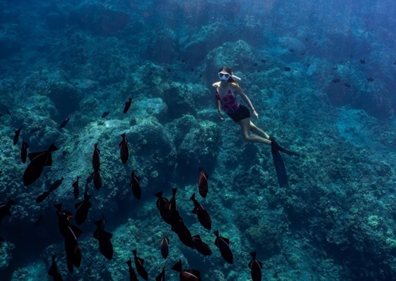 Sea Paradise Kona Afternoon Sail And Snorkel Slider Girl Snorkel
