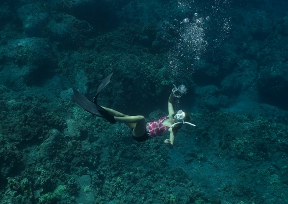 Sea Paradise Kona Afternoon Sail And Snorkel Slider Sea Snorkel
