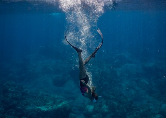Sea Paradise Kona Afternoon Sail And Snorkel Slider Swimming