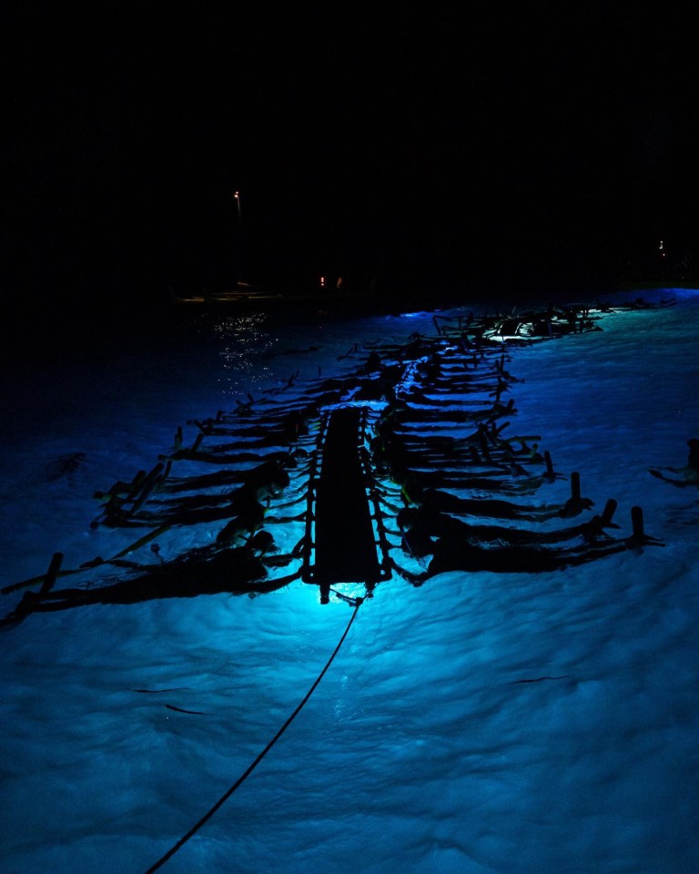 sea paradise manta ray night nighttime sky views