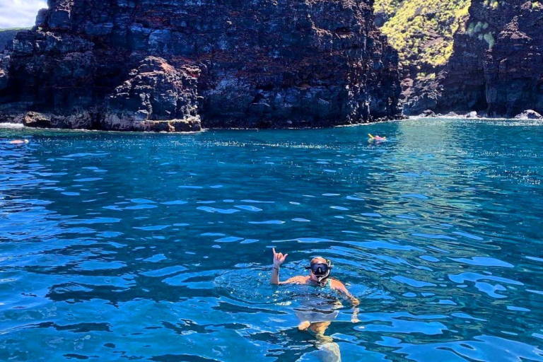 Sea Quest Hawaii Premium Morning Snorkeling Expedition South Kona Tour 