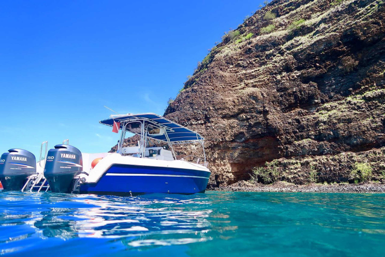 Sea Quest Hawaii Premium Morning Snorkeling To Explore Kona 