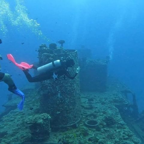 see amazing marine life up close introductory diving dive oahu
