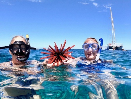 snorkel adventure cruise ocean sports big island