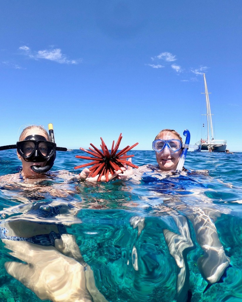 snorkel adventure cruise ocean sports big island