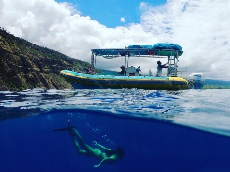 snorkel kealakekua bay one of the most popular snorkeling destinations on the big island sea quest hawaii