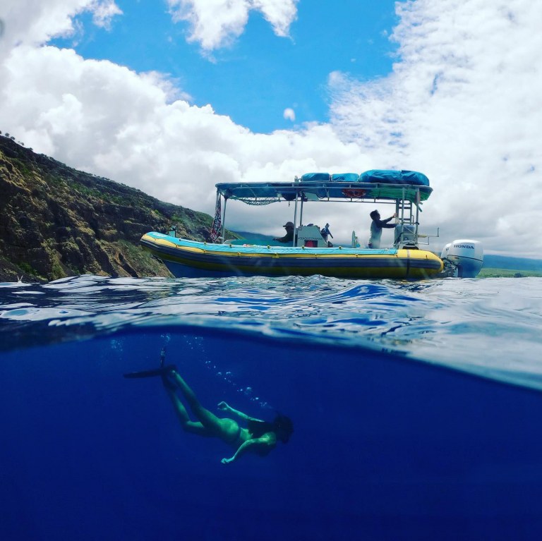 snorkel kealakekua bay one of the most popular snorkeling destinations on the big island sea quest hawaii