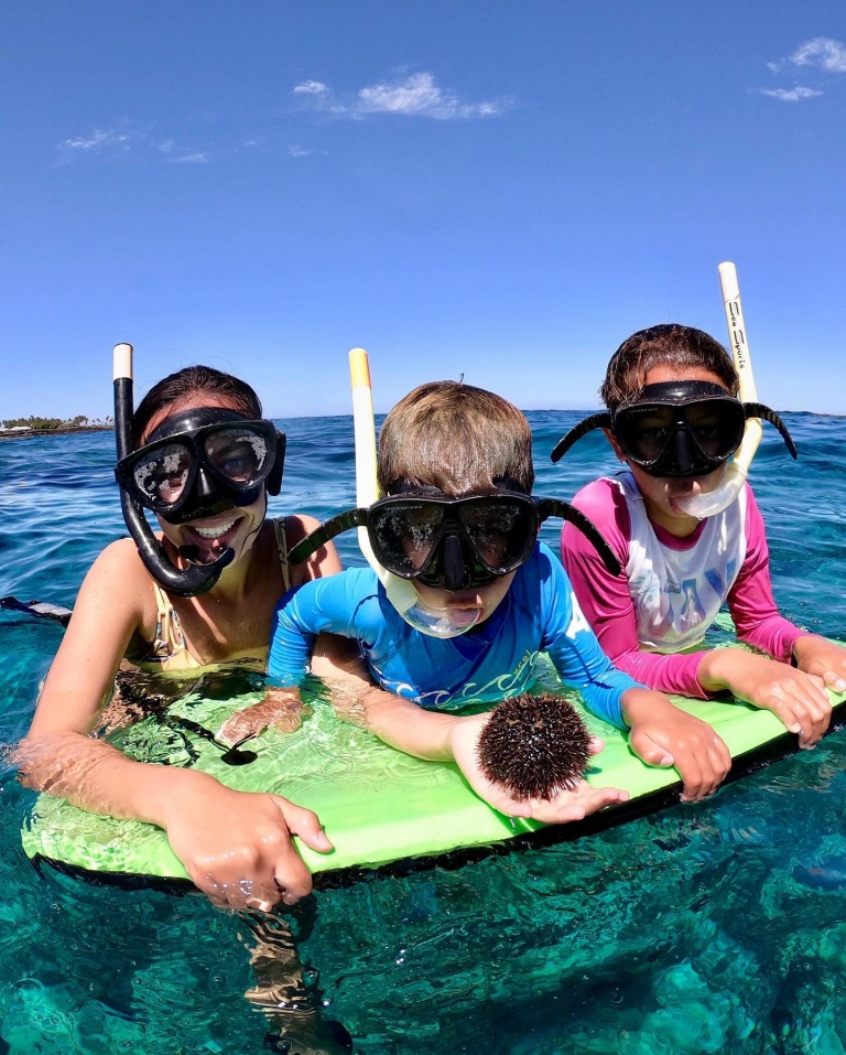 the best snorkeling diving and surfing spots ocean sports big island