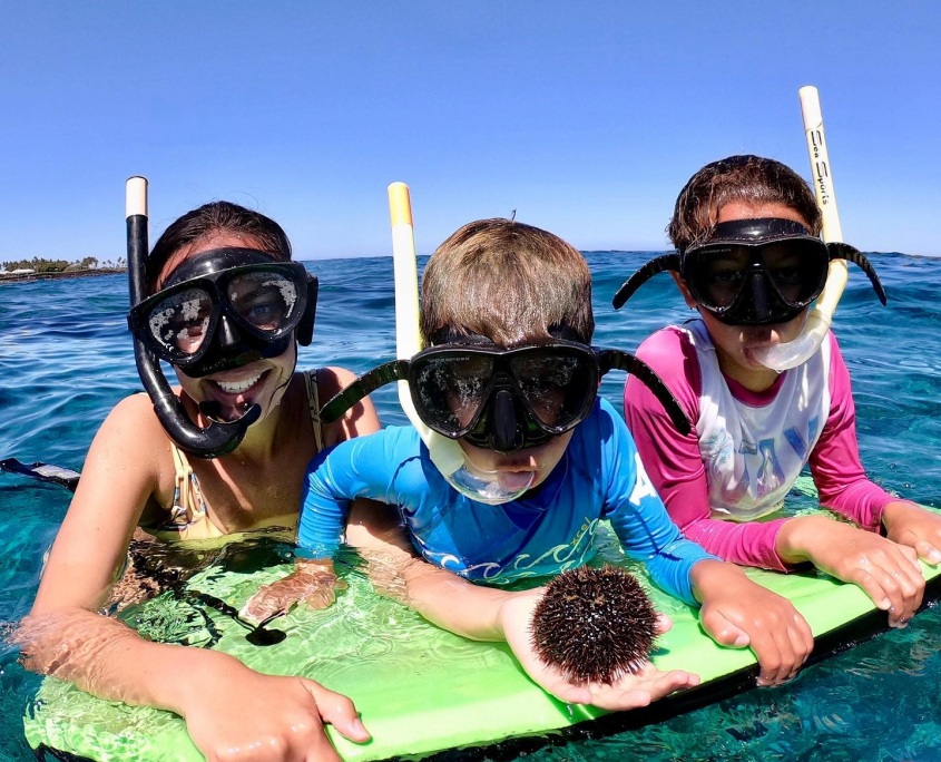 the best snorkeling diving and surfing spots ocean sports big island