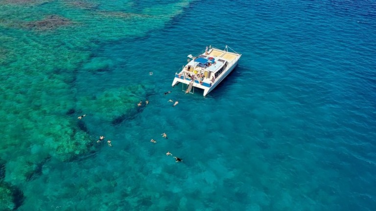 the best snorkeling on the kona kohala coast ocean sports big island