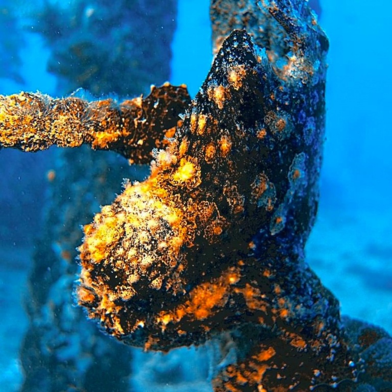 the opportunity to dive at two different reefs aloha scuba diving co