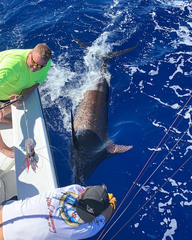 the perfect guide for an exciting day of sport fishing big island
