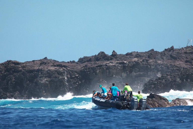 visit a remote marine preserve big island captain zodiac