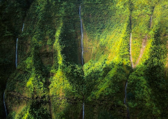 Wings Over Kauai Cessna Slider Na Pali Green