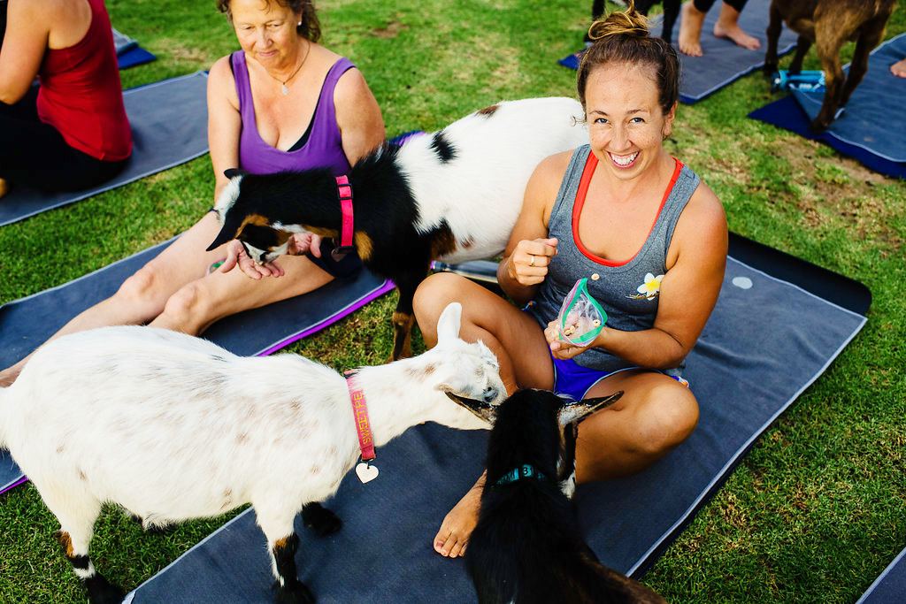 yoga time with goat maui