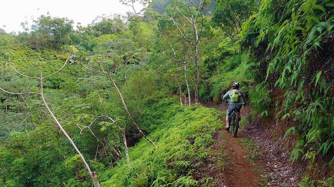 an incredible adventure while making memories with your friends and family bike hawaii