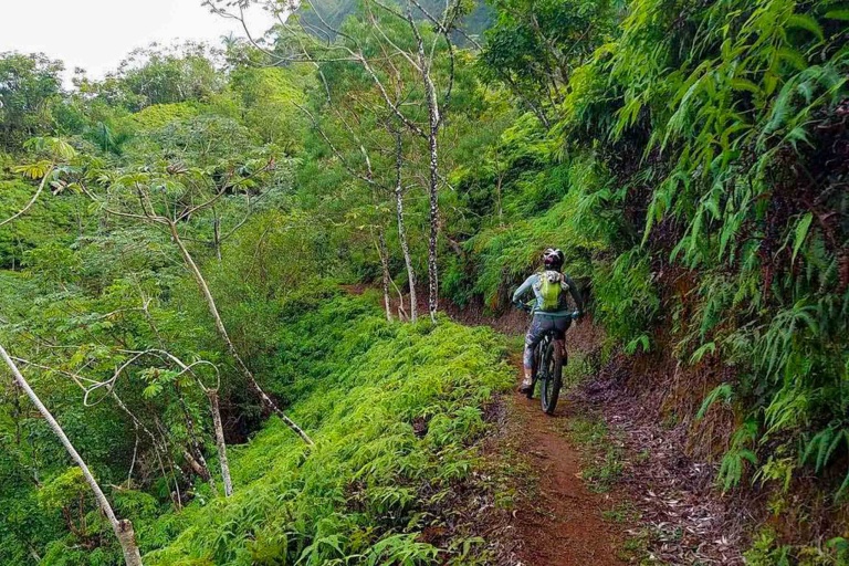 Oahu Combo Activities Making Memories With Your Friends