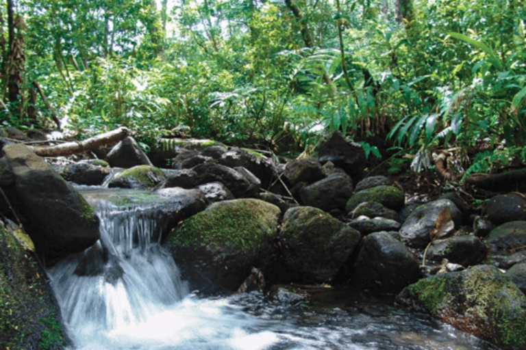 Oahu Combo Activities Stream