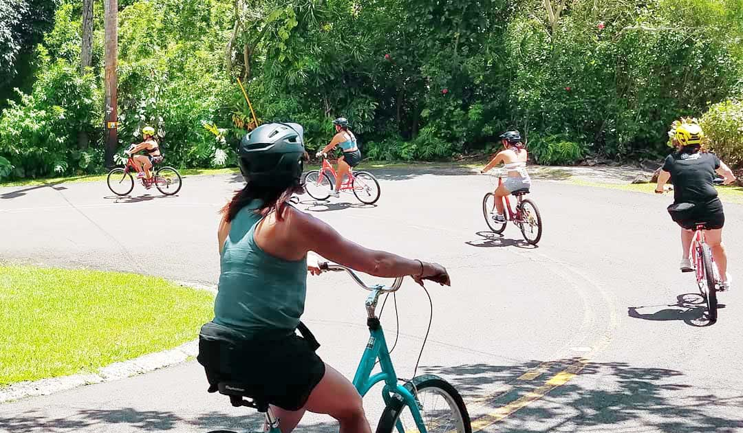 rainforest to reef half or full day tour bike hawaii