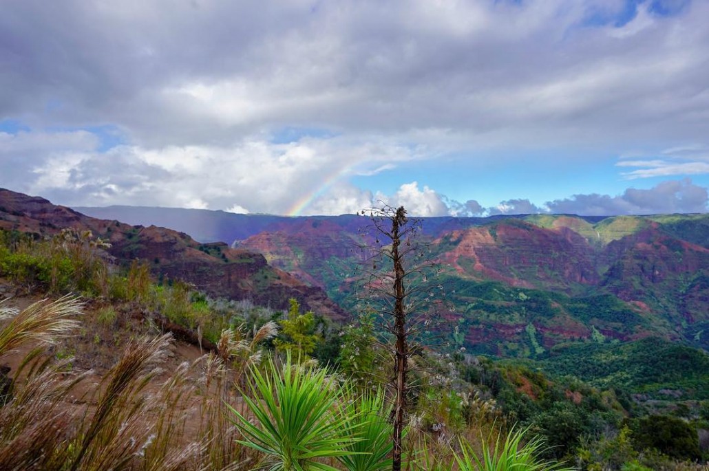 stunning views of beautiful island kauai hiking tours