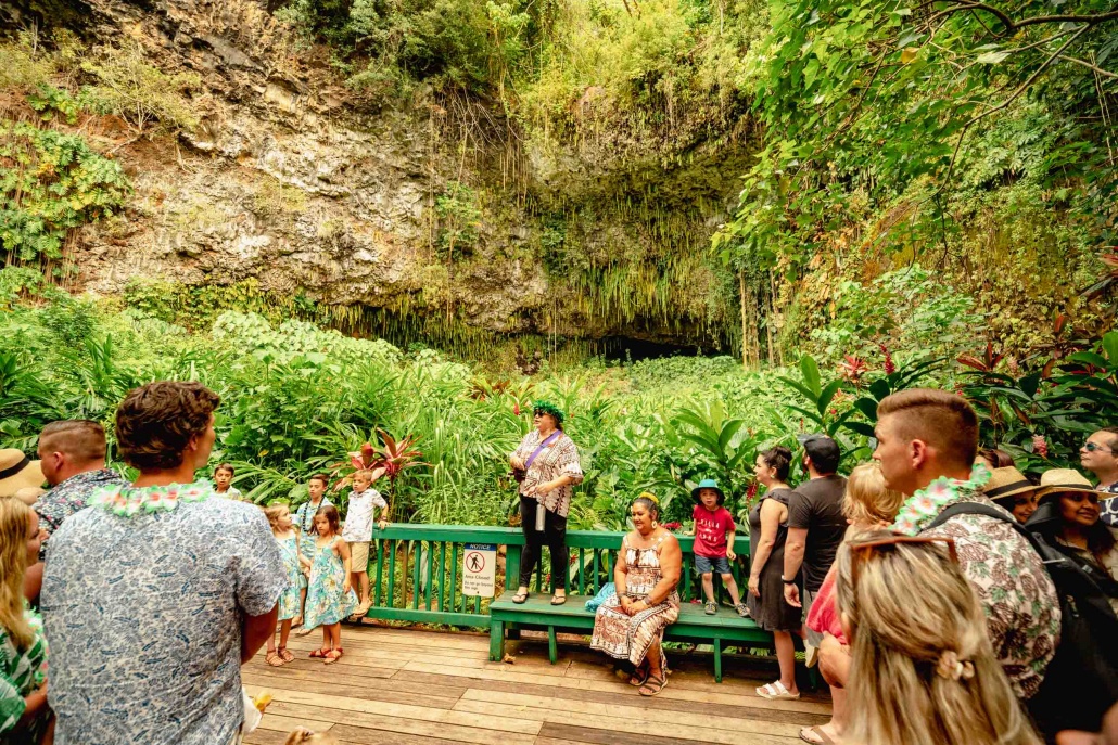 fern grotto river tour