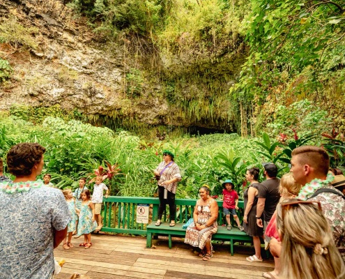 Wailua River Fern Grotto Guide Kauai