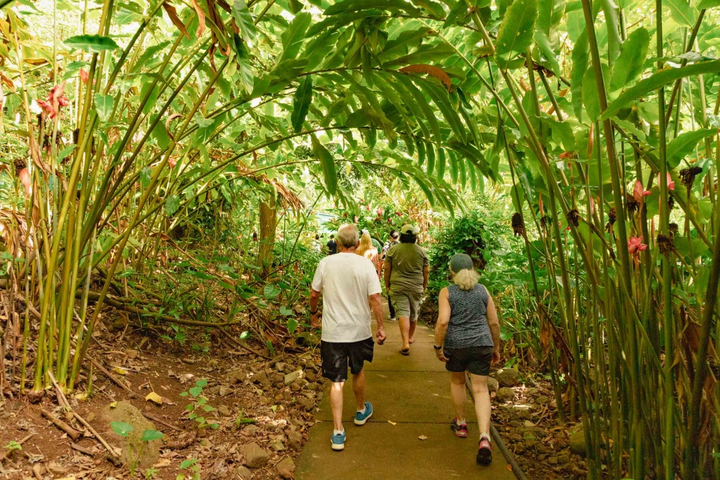 Wailua River Fern Grotto Trail Kauai