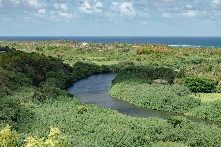 Wailua River overlook Kauai