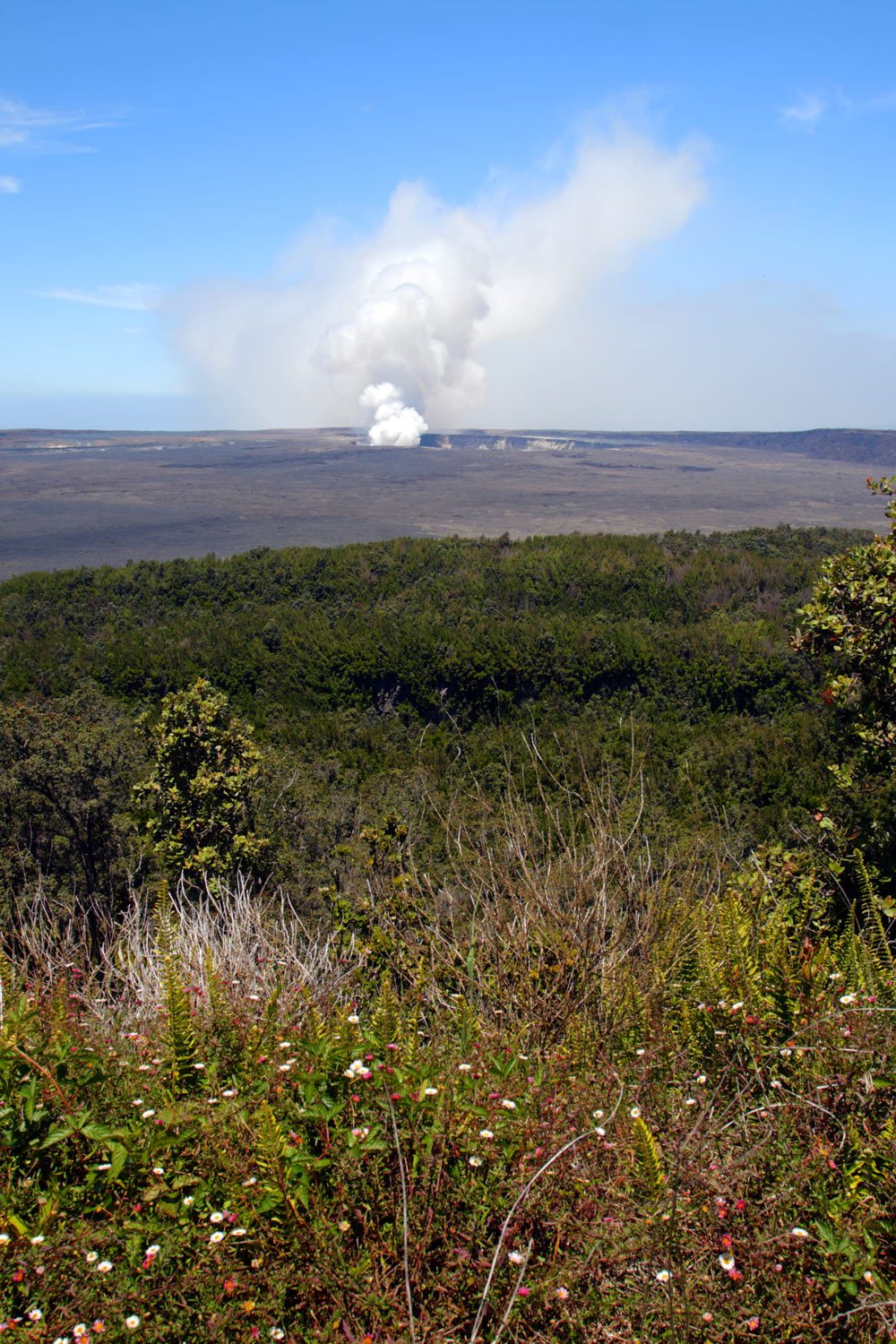 hawaii volcanoes national park big island hawaii photo