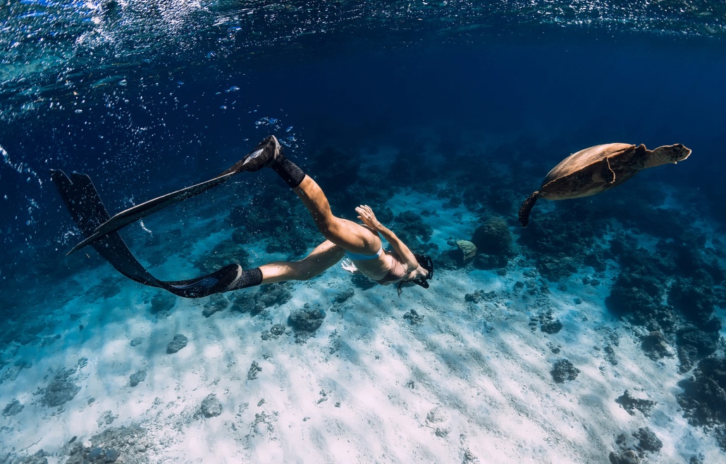 snorkeling with sea turtle oahu hawaii