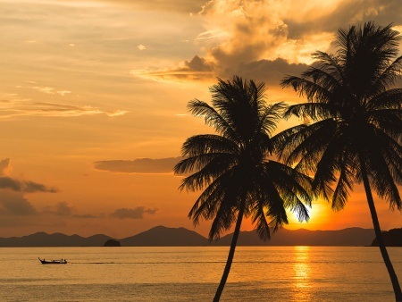 tropical-palm-tree-and-sea-sunset-summer-background