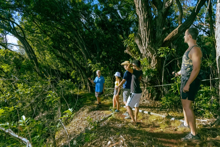 above the clouds hiking palehua ridge in west oahu bike hawaii