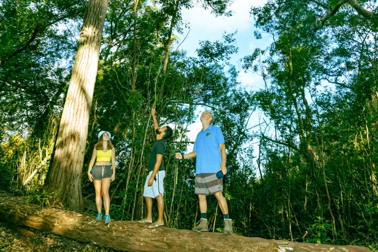 summiting palehua ridge a challenging hike with stunning views bike hawaii
