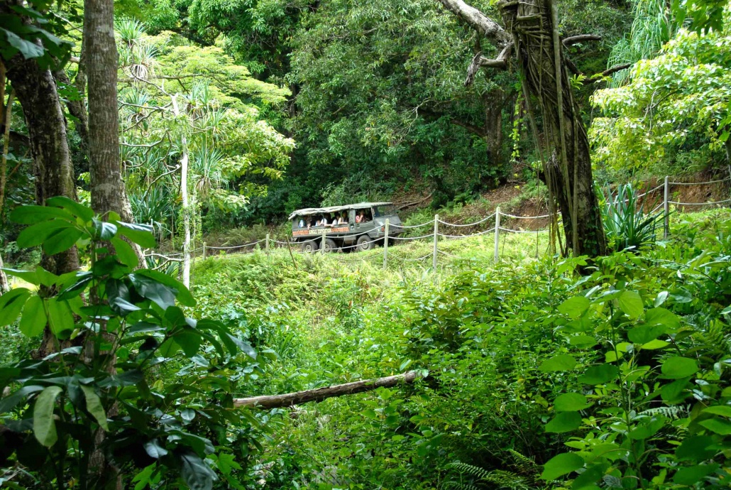 Kualoa Ranch Jungle Expedition Vehicle