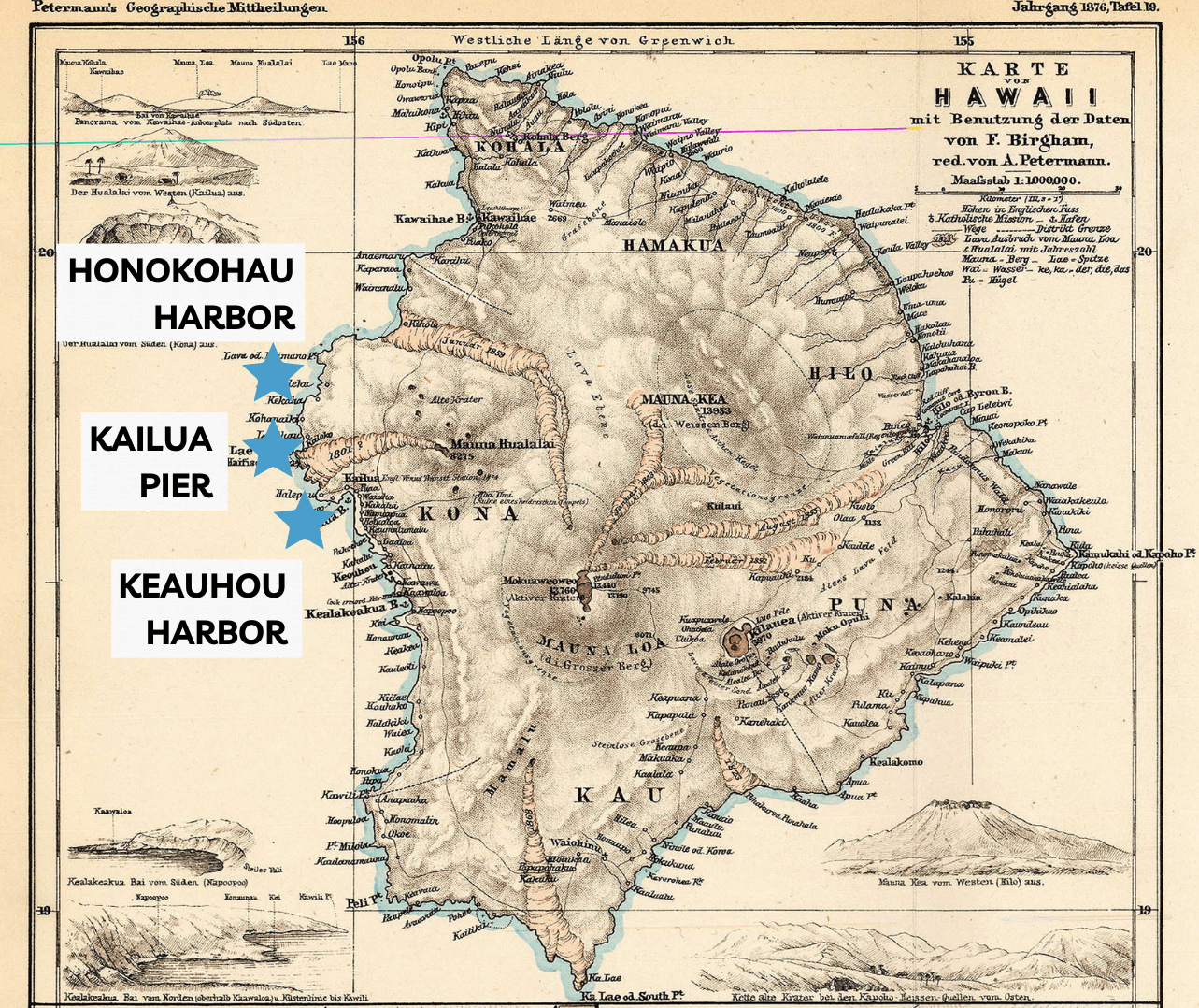 Big Island Whale Watching