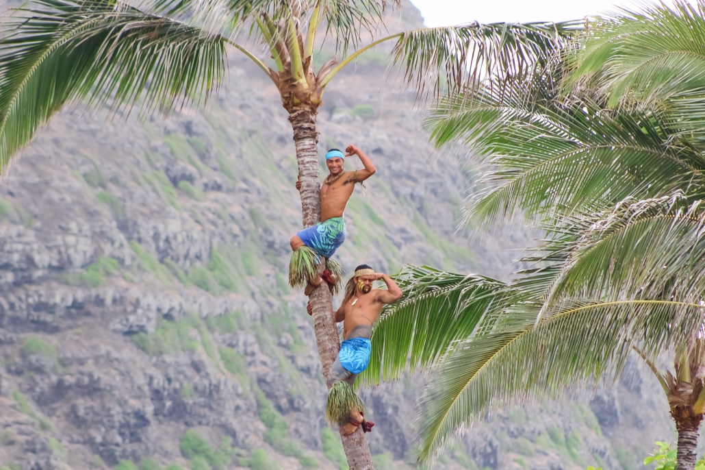 aloha kai luau coconut gathering